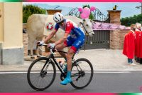 Il Giro d'Italia nelle terre del Fassone di Razza Piemontese